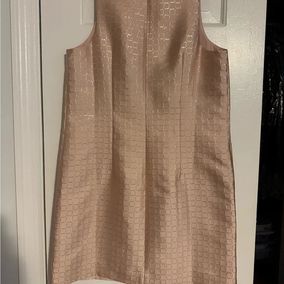 Ann Taylor Textured Sleeveless Tan Dress - Picture 3 of 4